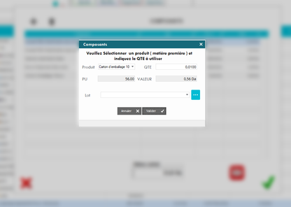 PROMO Dolisoft Production
